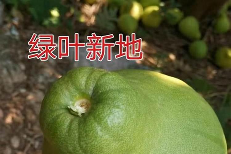 磷肥对小麦有哪些作用？