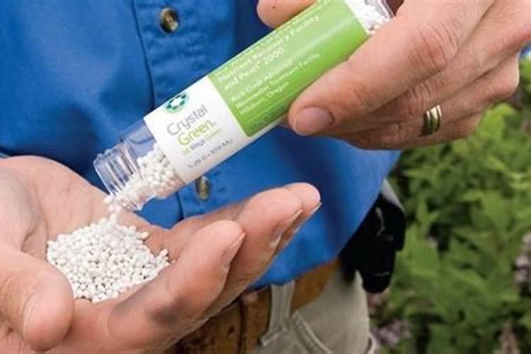 仙客来开花需要什么肥料