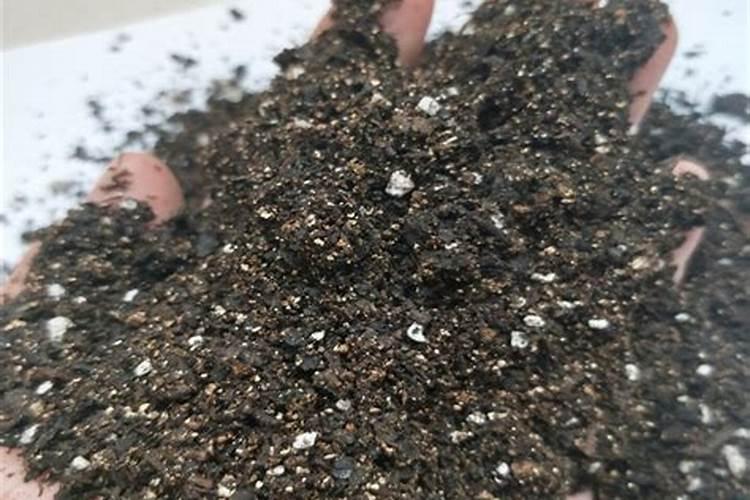 1、如何提高基质中有机肥和腐殖质含量？