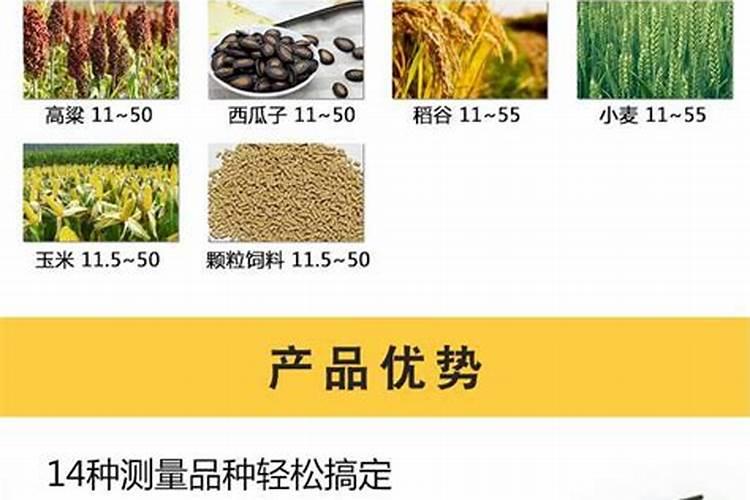 玉米水涝发黄喷什么叶面肥