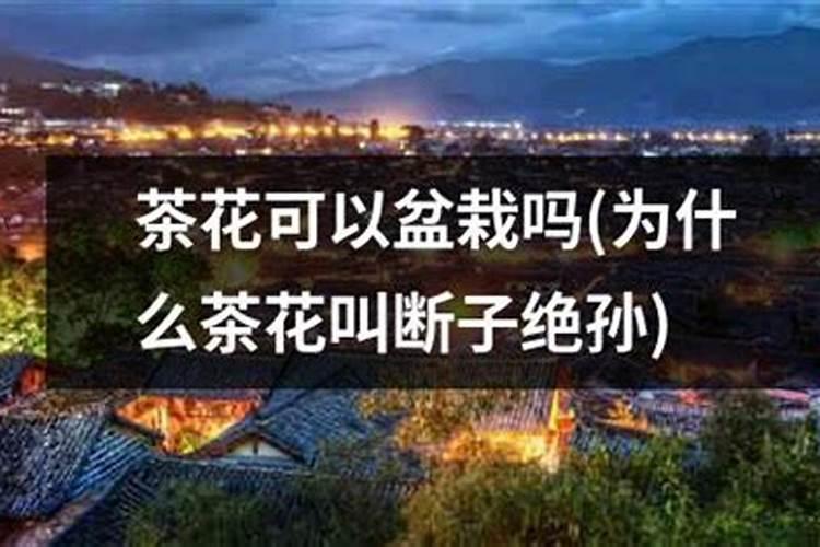 黄瓜追肥用什么肥料好