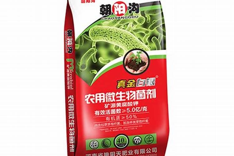 河南最大的化肥厂排名