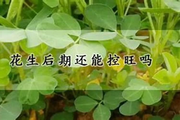 鱼蛋白肥料哪个品牌好