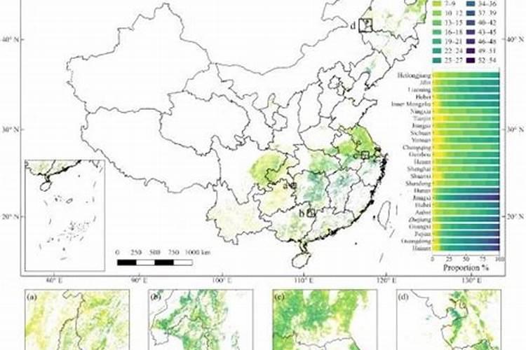 硅肥对水稻的害处