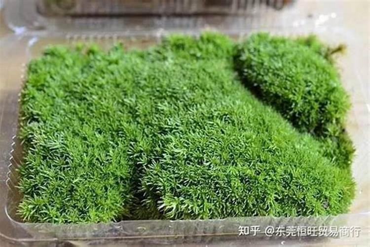 水溶肥的执行标准有哪些