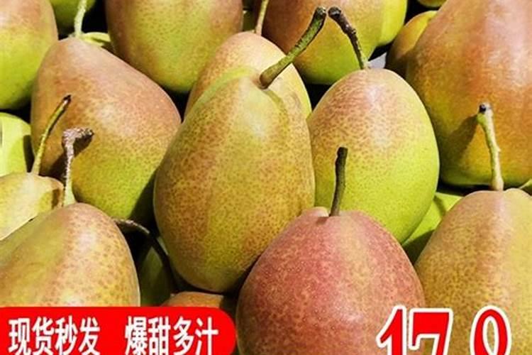 翠玉梨树如何嫁接砀山酥梨树 翠玉梨树怎么养殖