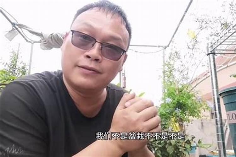 广西红鹰肥业有限公司怎么样？