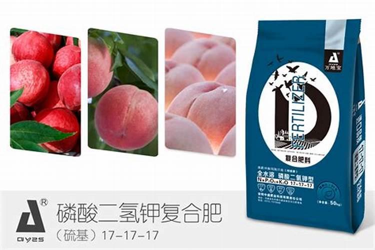 茄子施肥用什么肥料好