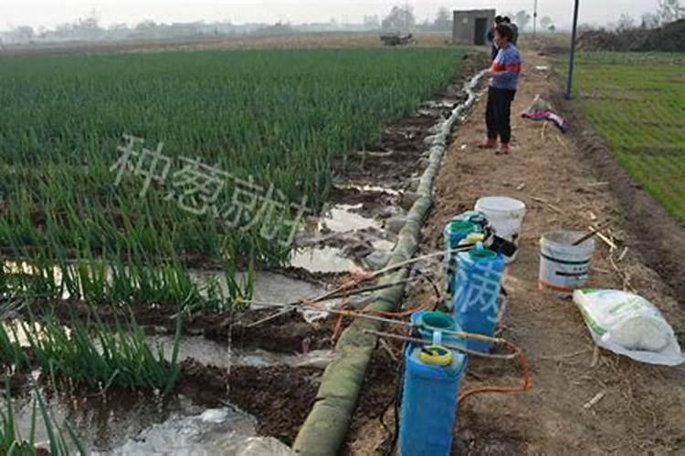 水溶肥料怎么使用