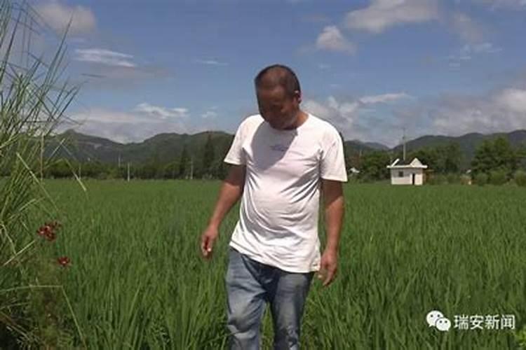 复合肥标准中重金属要求