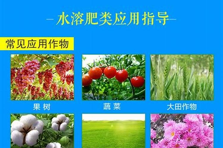 硼肥的使用方法与用量