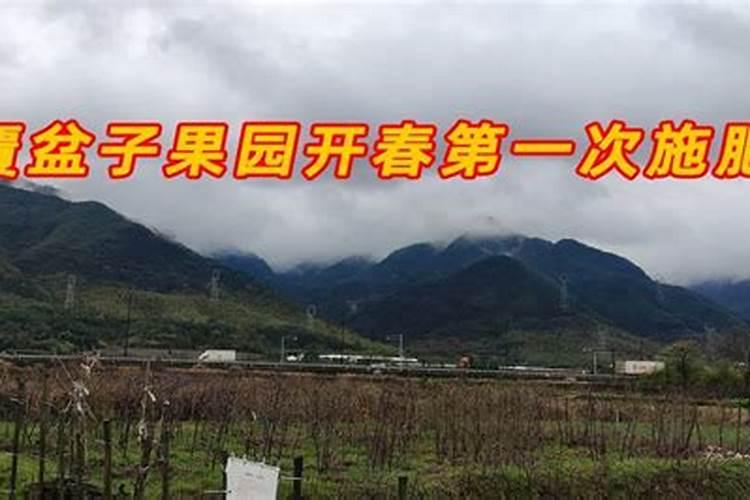 玉米啥时需要磷肥最多？
