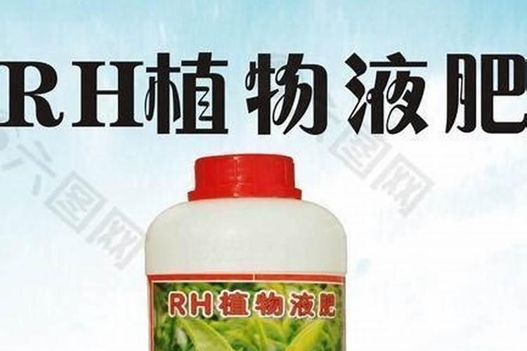 水稻苗不生新根怎么办