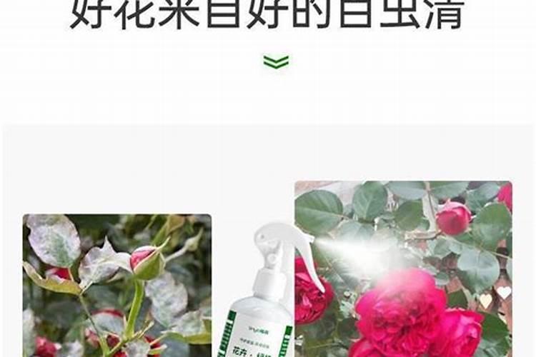 东北大型蔬菜水果批发市场