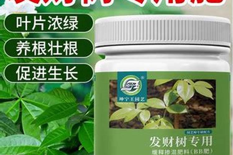 魔芋追肥用什么肥料好
