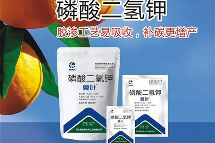果树何时喷施磷酸二氢钾效果最好