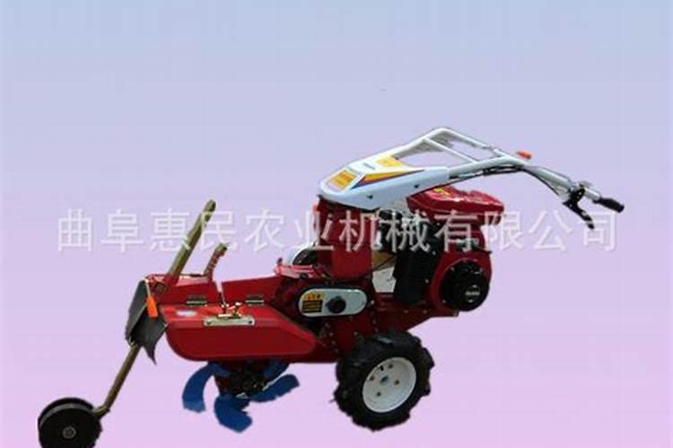 德青源公司现状如何