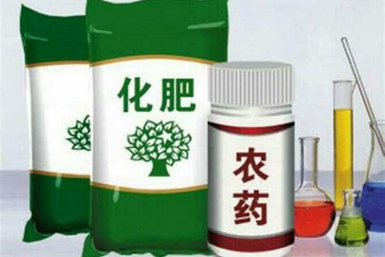 一亩直播水稻成本多少