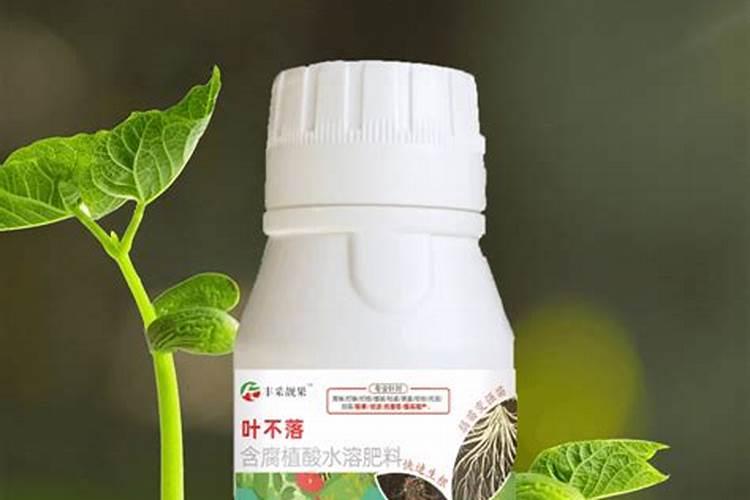 叶面肥可以浇花吗