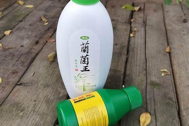 寒兰花如何施肥 寒兰花施肥方法及时间