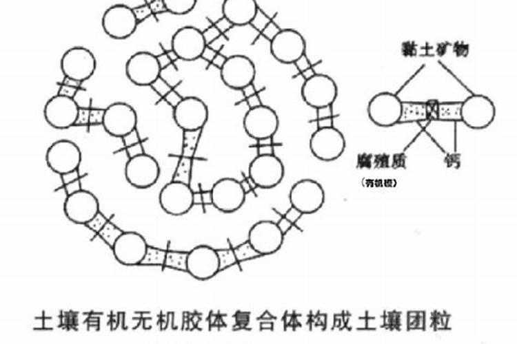 水稻分蘖肥需要用钾肥吗 怎么施肥效果好
