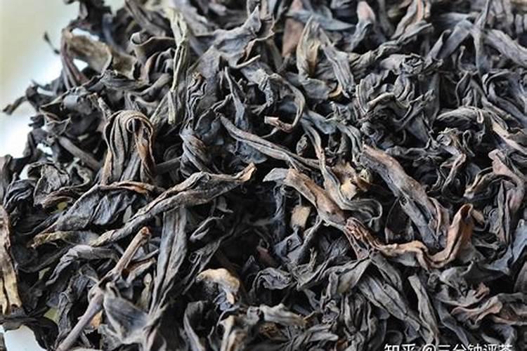 树木防冻水什么时间浇