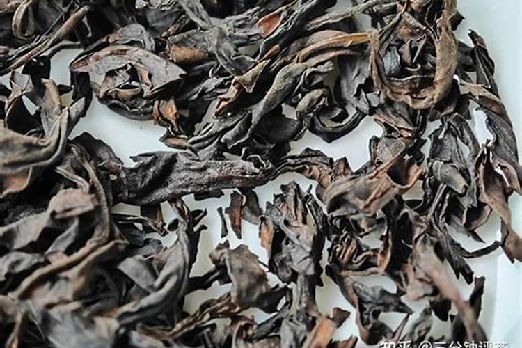 大红袍李子几年结果？