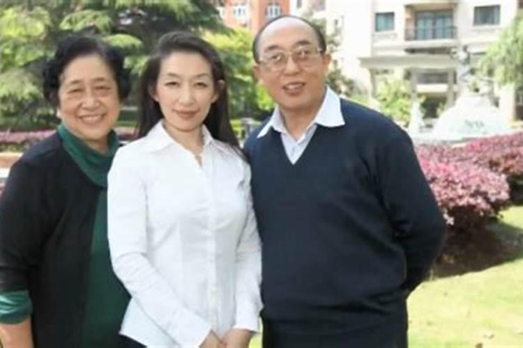 腐殖质包括哪三种成分 和有机质的区别
