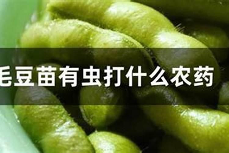 种植豆苗菜用什么肥料