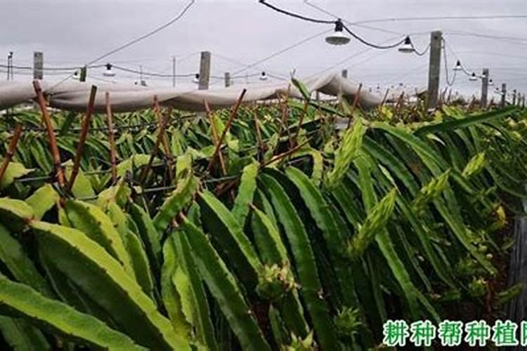 郑州地铁logo是哪个设计师