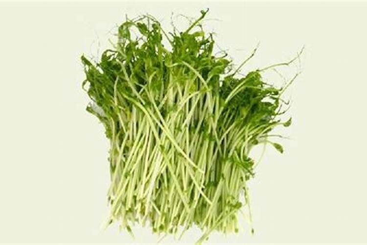 扁豆的养殖方法和注意事项(扁豆最好的肥料是什么？)
