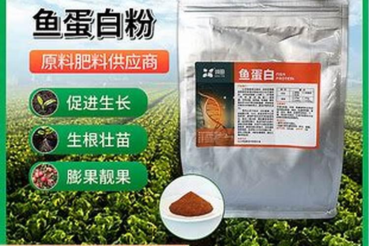 乙烯对植物有什么作用？