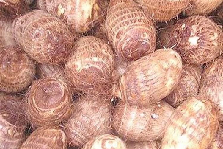 过期钙片能浇花吗？怎么浇啊？