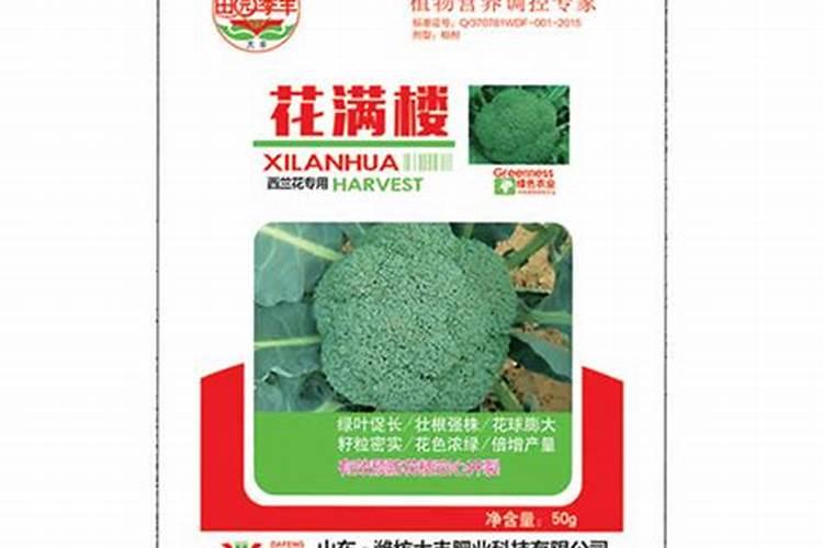 西兰花怎么养才开花 西兰花如何养才开花
