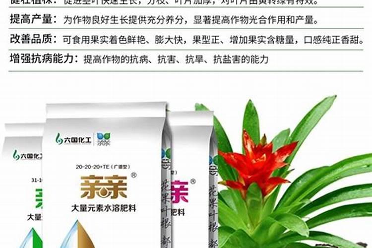 盘江煤电(集团)有限责任公司的集团概况