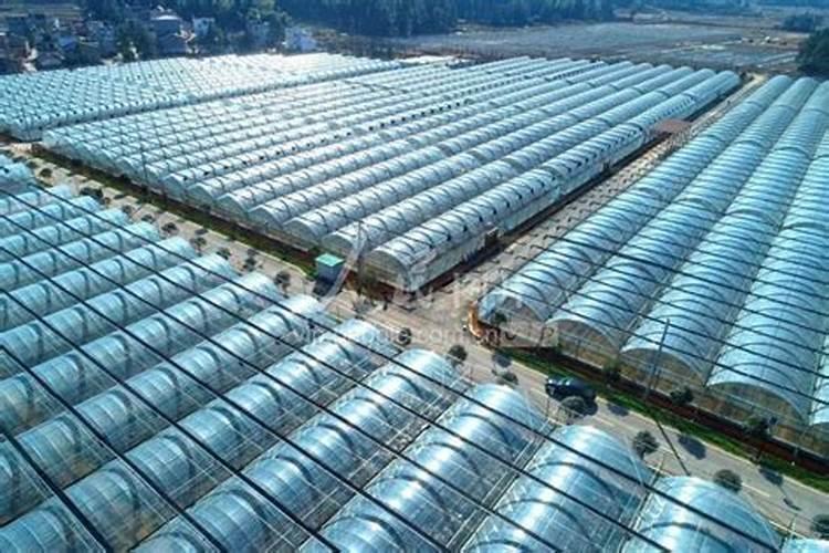 肥料发酵剂和菌肥可以用于果蔬种植么？怎么用