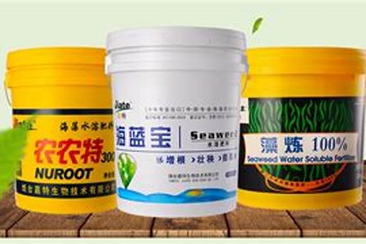 巨峰葡萄转色期间地下冲施海澡鱼蛋白可不可以