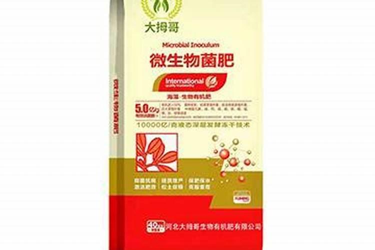 饥荒:海难 饥荒海难冰雹有什么用？