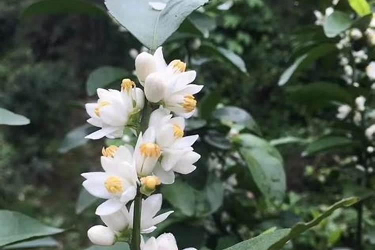 海南消费水平高吗？适不适合居住？