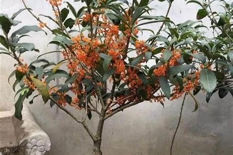 我想请问一下氮肥、磷肥(磷酸二铵)、钾肥(氯化钾)的价格分别是多少