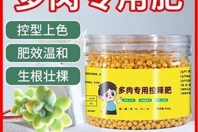 缓释肥一盆放几颗？