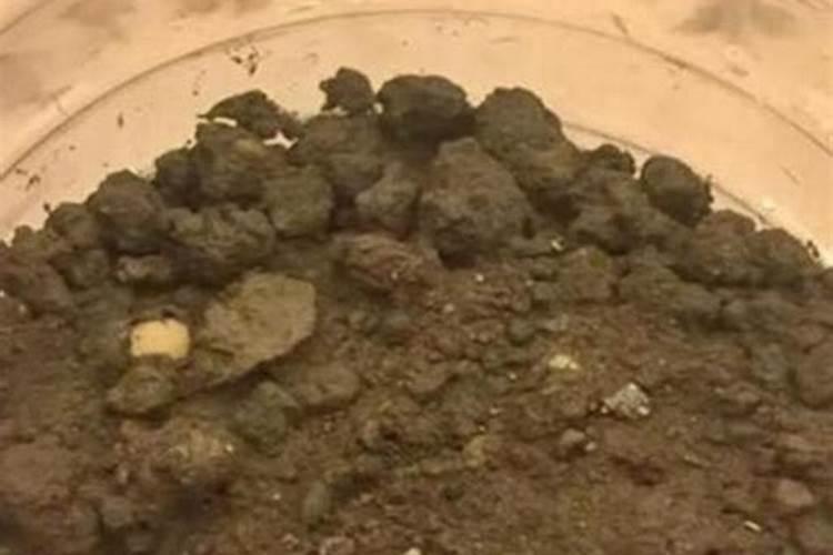 黄豆开花期需要施什么肥