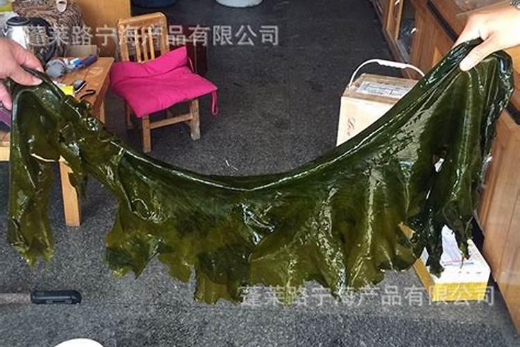 正规水溶肥厂家名单