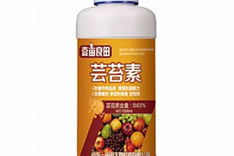 刚移栽的花要马上浇水吗,刚移植的花什么时候浇水