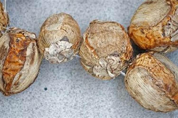 磷肥不能和什么肥混施