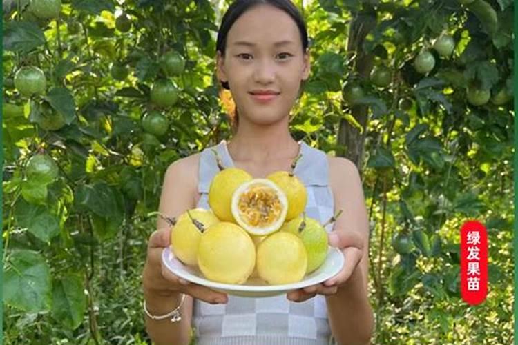 果树怎样补钙 缺钙有什么表现呢
