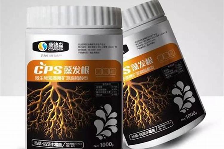 海藻液肥能在玉米上使用吗？