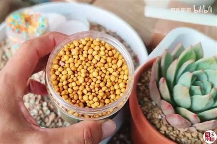 中午为什么不能给植物浇水