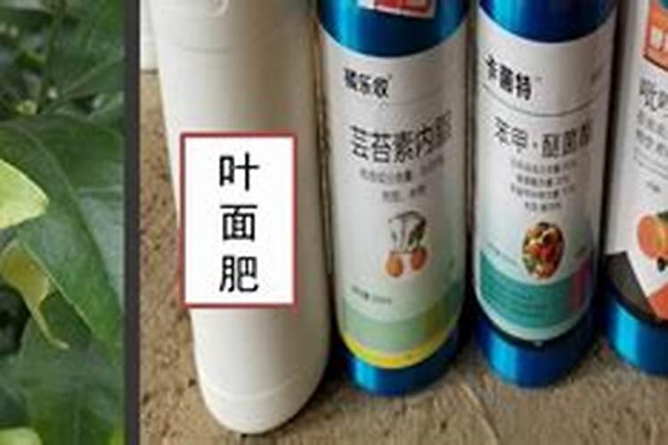 氟啶胺注意事项