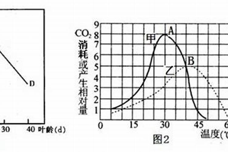 施肥过多光合作用速率降低的原因